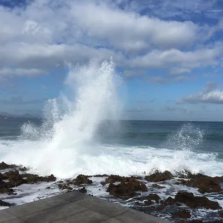 أبارتامنتوس تينوسا *